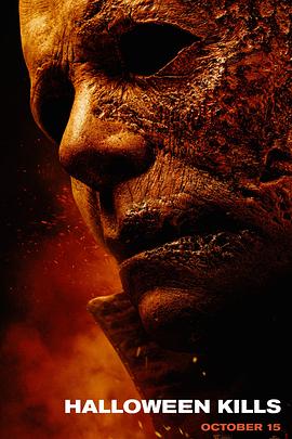 国家相册海报剧照